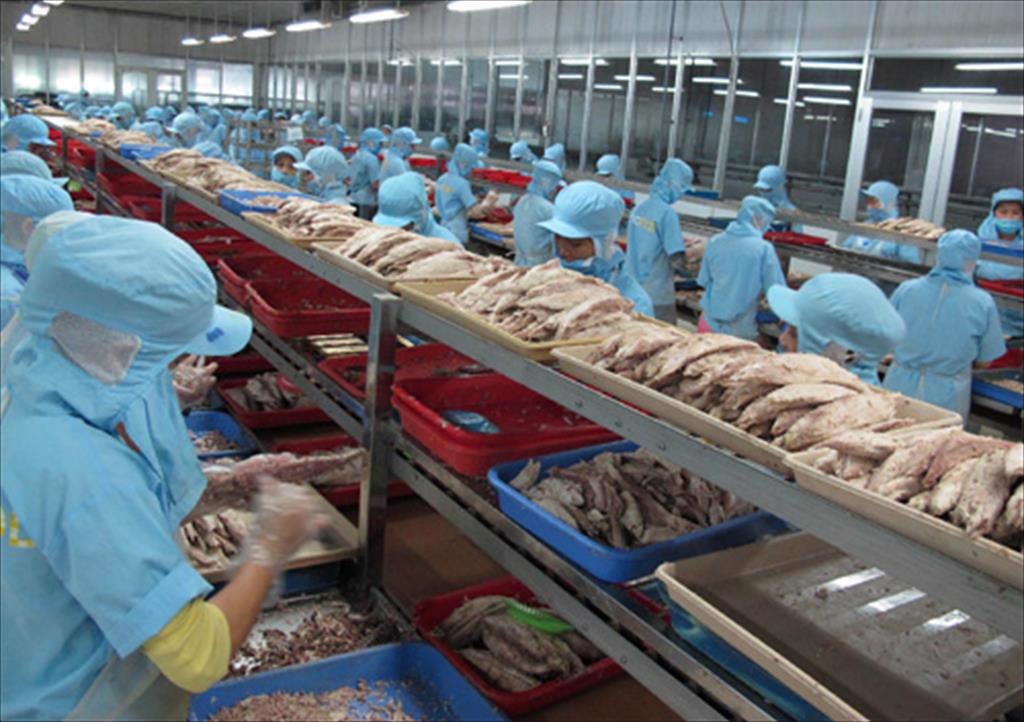 Bất cập việc phạt doanh nghiệp chậm nộp thuế giá trị gia tăng khi có lô hàng xuất khẩu bị trả về