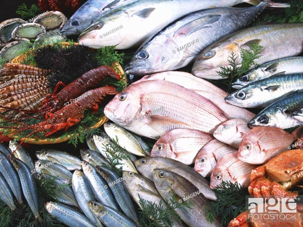 GSA Các chứng nhận bền vững ngày càng tăng