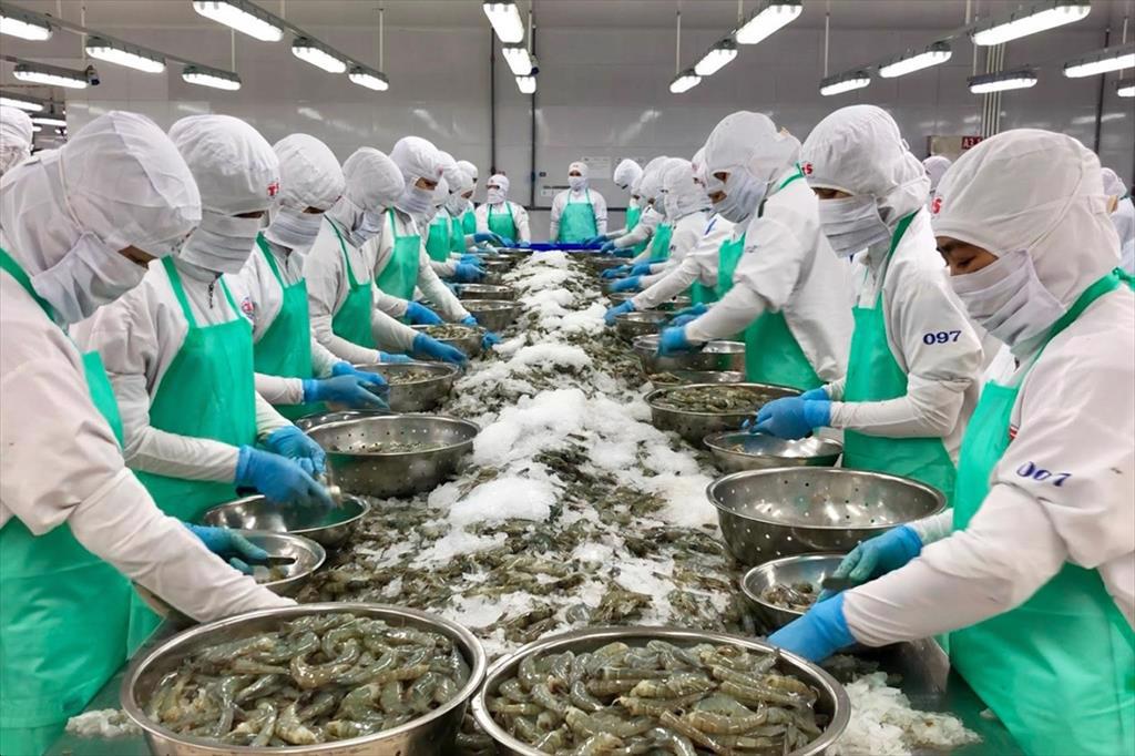 Xuất khâu thủy sản sang Mỹ đạt trên 11 tỷ USD