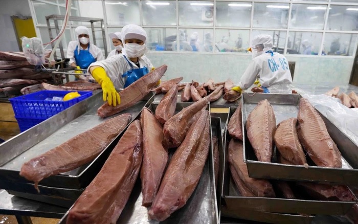 Xuất khẩu cá ngừ sang Phần Lan tăng cơ hội mở rộng tại Bắc Âu